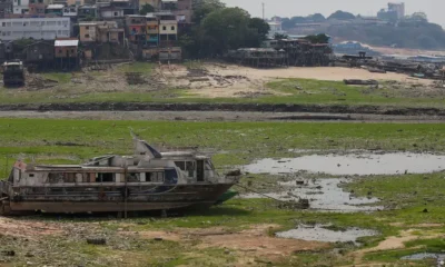 Las embarcaciones han quedado varadas en el puerto de Manaos. La grave sequía en la cuenca del Amazonas, afecta a 55 de los 62 municipios del estado Amazonas, en Brasil. Foto: DW.