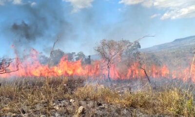 Incendio de pastizal en Arroyos y Esteros. Foto: Bomberos Forestales.