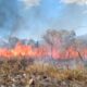 Incendio de pastizal en Arroyos y Esteros. Foto: Bomberos Forestales.