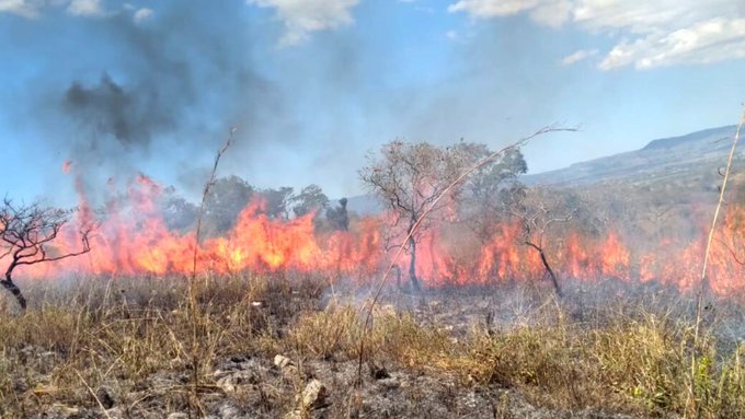 Incendio de pastizal en Arroyos y Esteros. Foto: Bomberos Forestales.