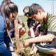 La plantación se realizó en la Reserva Natural Urbana Arapoty. Foto: Gentileza.