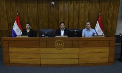 Comisión de Entes Binacionales, presidente Mauricio Espinola. Foto: Gentileza.