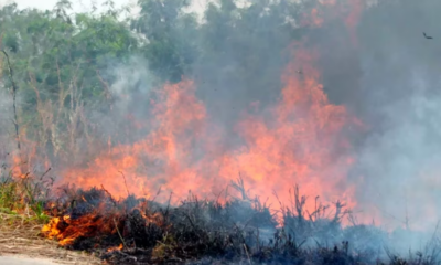 Incendio forestal en Bolivia. Foto: Infobae.