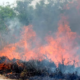 Incendio forestal en Bolivia. Foto: Infobae.