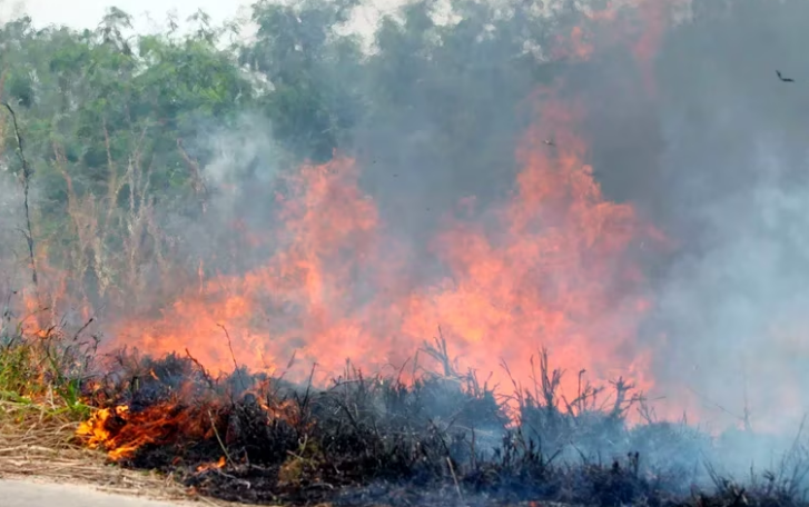 Incendio forestal en Bolivia. Foto: Infobae.