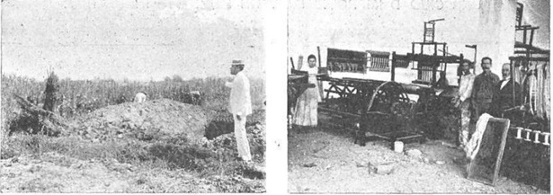 Cosecha del cáñamo - Talleres municipales de tejidos, Buenos Aires (Caras y Caretas, 1900). Cortesía