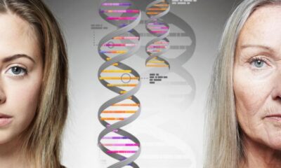 Investigadores de la Universidad Eötvös Loránd de Hungría han logrado establecer el vínculo entre los "genes saltarines" y el envejecimiento. Foto: BBC.