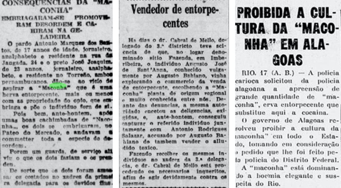 Jornal do Recife: “Consecuencias de la maconha” y “Vendedor de estupefacientes”, 1929. O Jornal: “Prohibida la cultura de la marihuana en Alagoas”, 1936). Cortesía