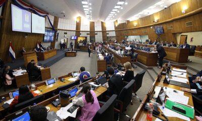 Sesión de diputados. Foto: Gentileza.