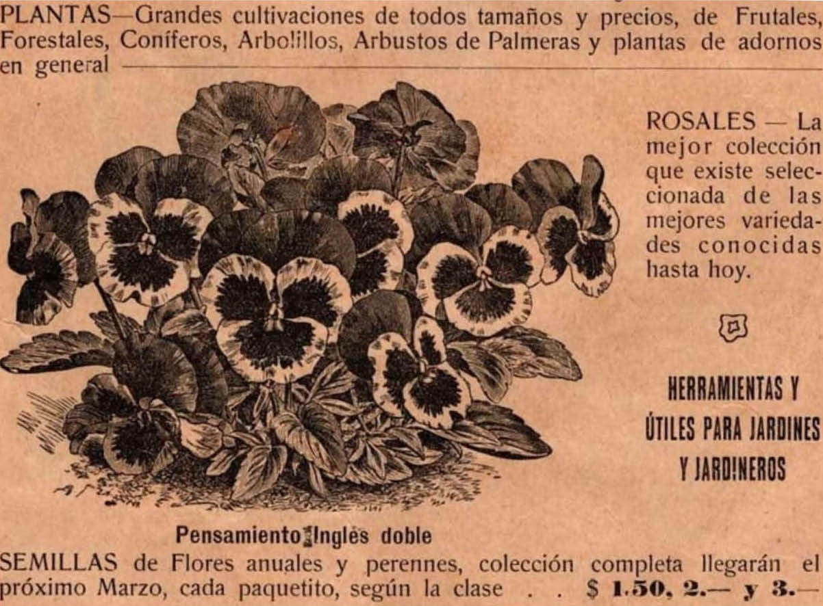 Detalle de un catálogo de Juan Ceriani, 1915. Acervo Huellas de la Cultura Paraguaya