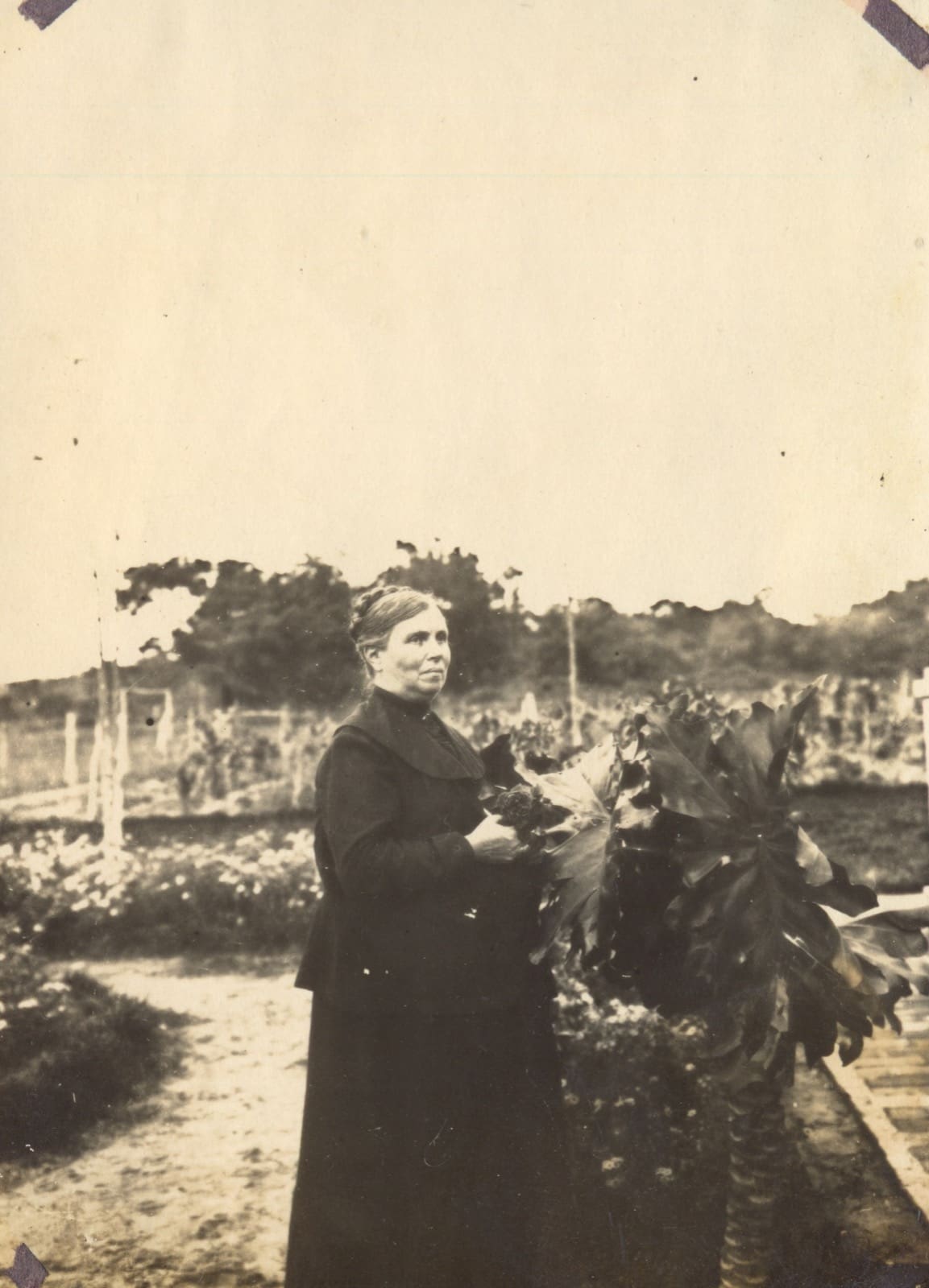 Una colona en amplio jardín o vivero en San Bernardino, ca. 1890. Acervo Milda Rivarola