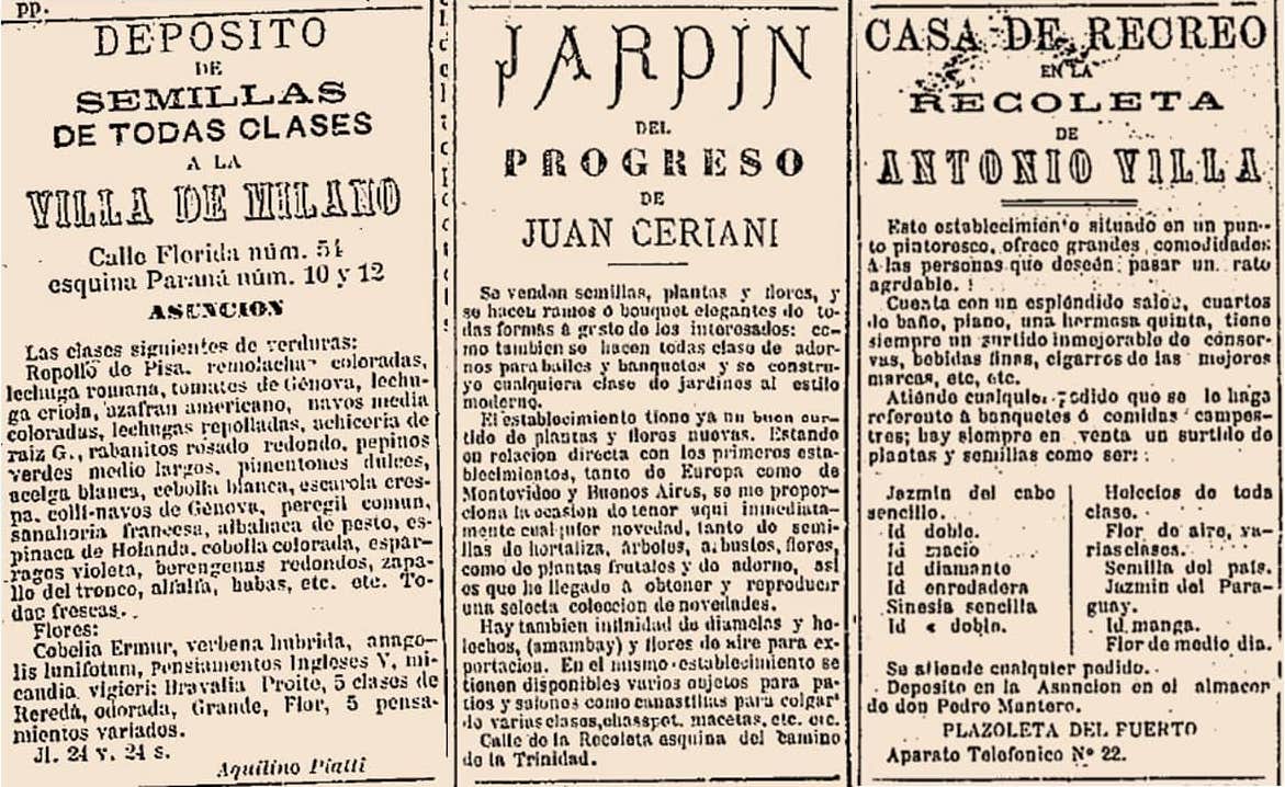 Publicidad en diarios locales, 1884, 1885 y 1886. Diario El Heraldo