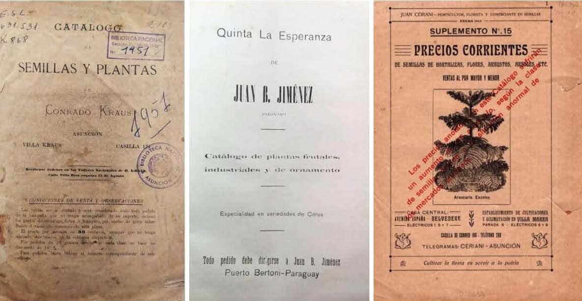 Catálogos comerciales, 1902, 1913 y 1915. Biblioteca Nacional / Fundación Huellas de la Cultura Paraguaya