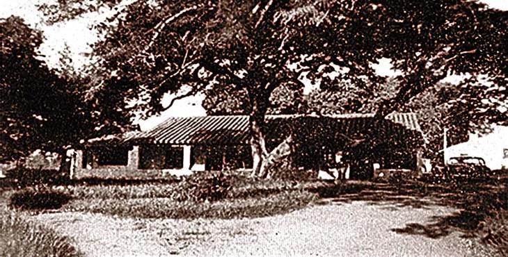 Casa de Henri Pitaud en “Isla de Francia”, ca. 1960. Cortesía María Victoria Benítez