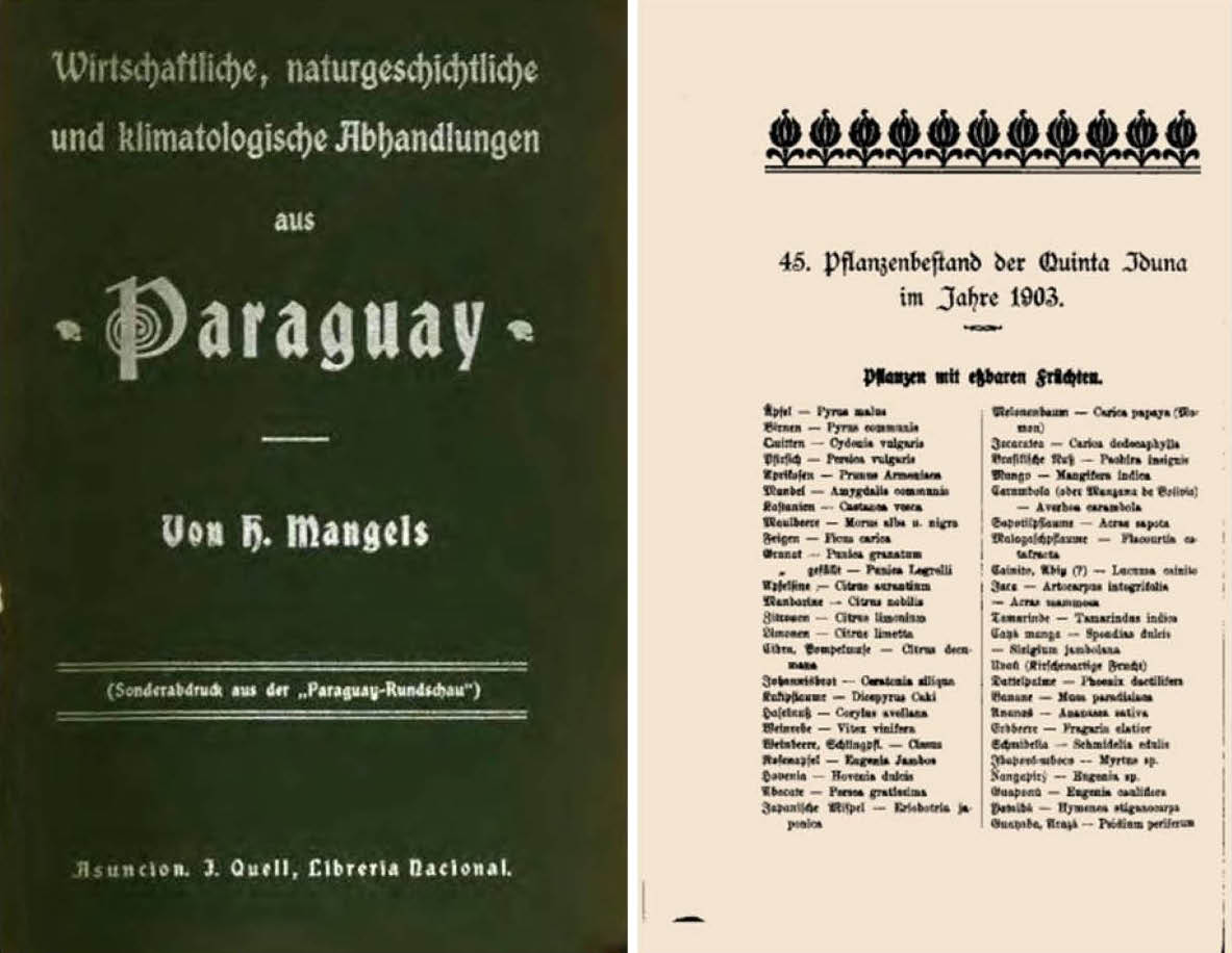 Portada e interior del libro Tratado de Economía, historia natural y climatología del Paraguay, de Henry Mangels, 1904. Cortesía