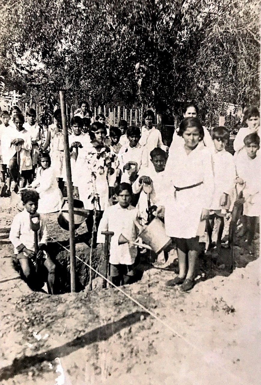 Fiesta del árbol en Puerto Casado. Año 1930. Cortesía David Velázquez Seiferheld