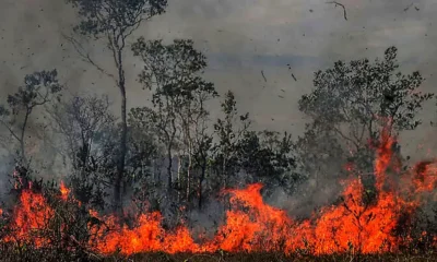 Incendio en reserva natural de Bolivia. Foto: DW.