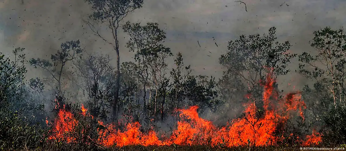 Incendio en reserva natural de Bolivia. Foto: DW.