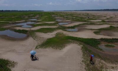 La sequía afecta a la región de la Amazonía. Aquí, una imagen en Careiro da Varzea, Brasil. Foto: DW.