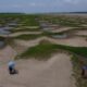 La sequía afecta a la región de la Amazonía. Aquí, una imagen en Careiro da Varzea, Brasil. Foto: DW.