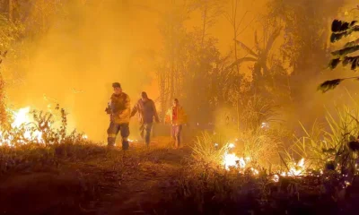 Incendio forestal. Foto: DW.