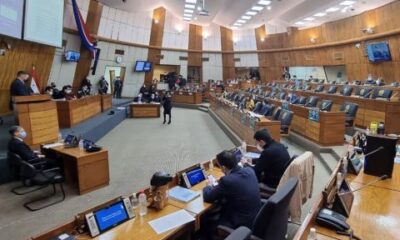 Sesión de la Cámara de Diputados. Foto: Gentileza.