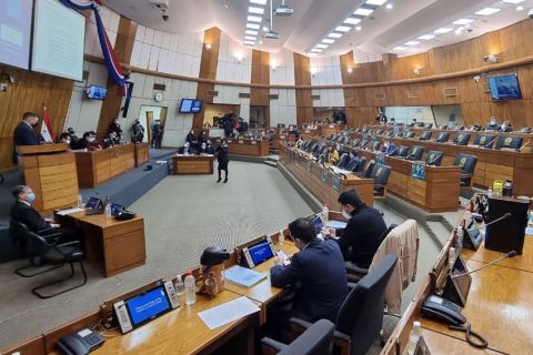 Sesión de la Cámara de Diputados. Foto: Gentileza.