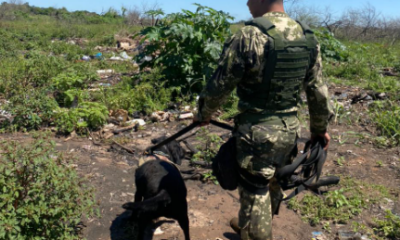 La can "Negra" también se une a la búsqueda del militar desaparecido. Foto: Gentileza.