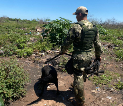 La can "Negra" también se une a la búsqueda del militar desaparecido. Foto: Gentileza.