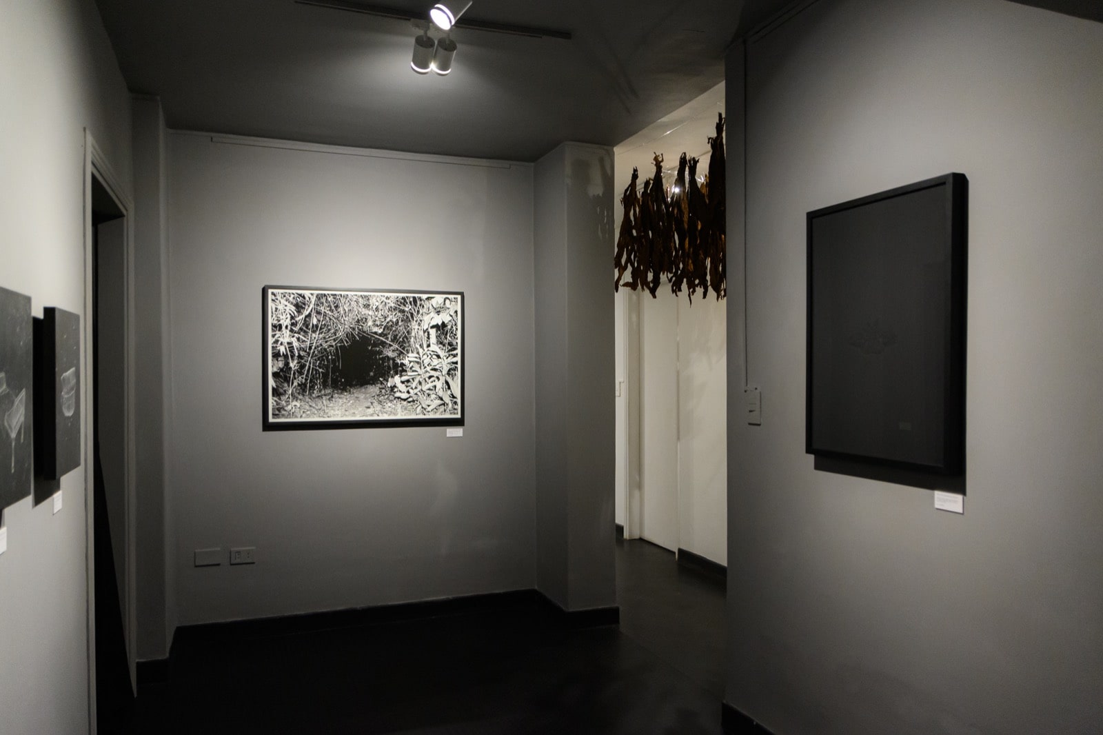 Luvier Casali, muestra "Ejercicios nocturnos". Vista de sala. Cortesía