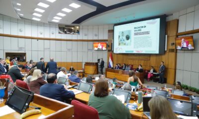 Finalmente, tras un extenso debate a través del voto nominal, con 33 votos el Senado se ratificó en su sanción inicial, en el rechazo del proyecto de Ley. El documento se remite al archivo. Foto: Gentileza.