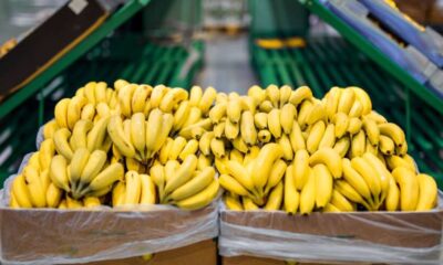 Bananas paraguayas a la Argentina, tras acuerdo de precios. Foto: La Nación.