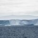 Actualmente se desplaza rápidamente más allá del extremo norte de la Península Antártica, impulsado por fuertes vientos y corrientes. Foto: CNN.