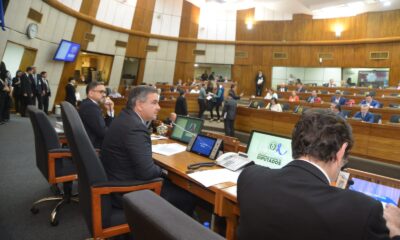 Sesión de diputados. Foto: Gentileza.