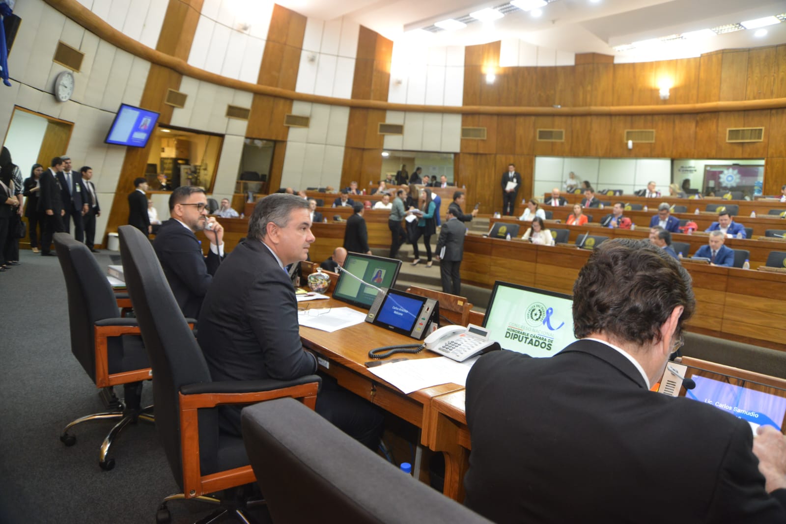 Sesión de diputados. Foto: Gentileza.