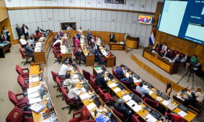 Sesión ordinaria de la Cámara Alta. Foto: Gentileza.