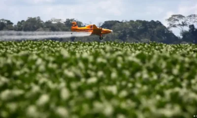 Un avión aplica agroquímicos a una plantación de soja en una finca de Feliz Natal, en Mato Grosso, Brasil. Foto: DW-