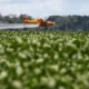 Un avión aplica agroquímicos a una plantación de soja en una finca de Feliz Natal, en Mato Grosso, Brasil. Foto: DW-