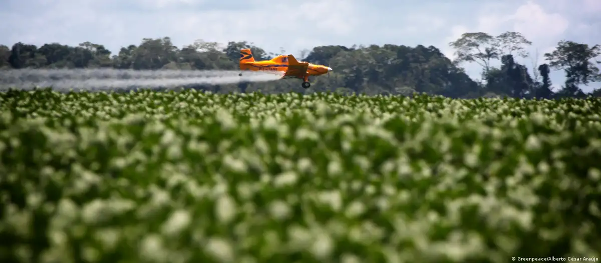 Un avión aplica agroquímicos a una plantación de soja en una finca de Feliz Natal, en Mato Grosso, Brasil. Foto: DW-