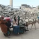 Palestinos llegan a Rafah, en la frontera con Egipto, en coche de tracción animal. Foto: DW.