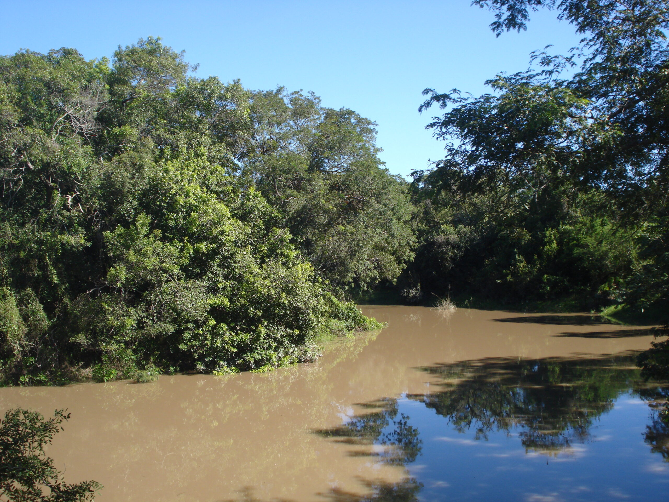 Arroyo Aguaray Guasu. Foto: Lidia Pérez de Molas.