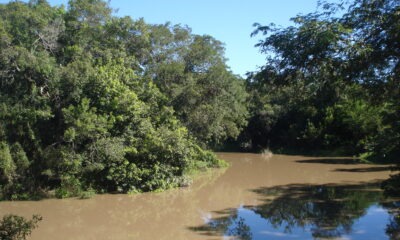 Arroyo Aguaray Guasu. Foto: Lidia Pérez de Molas.