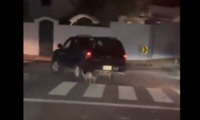 El perro estaba atado por la camioneta en marcha. Foto: Captura.