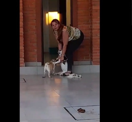 Momento en que meten al perro, ya sin vida. Foto: Captura.