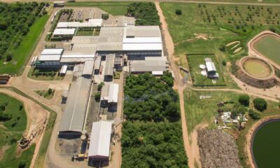 La Cooperativa Chortitzer Ltda. inauguró su moderna planta algodonera en la ciudad de Loma Plata, Chaco. Foto: Gentileza.