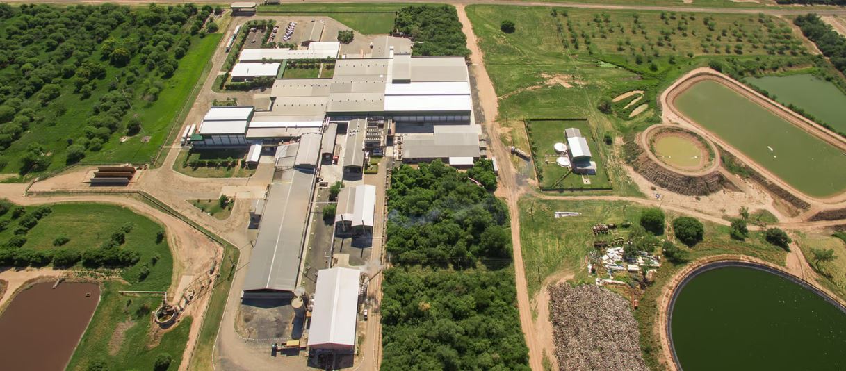 La Cooperativa Chortitzer Ltda. inauguró su moderna planta algodonera en la ciudad de Loma Plata, Chaco. Foto: Gentileza.