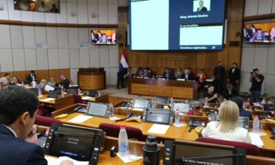 Sesión extraordinaria del Senado. Foto: Gentileza.