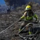 Incendios en Colombia. Foto: DW.