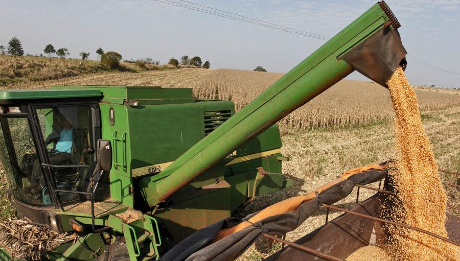 Grano de soja. Foto referencial.