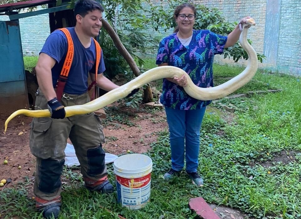 La serpiente fue derivada al Jardín Botánico. Foto: Angélica Samaniego.